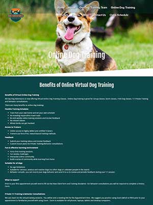Best Online Dog Training Courses: All Day Dog Adventures
