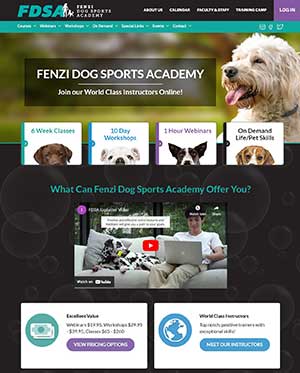 Best Online Dog Training Courses: Fenzi Dog Sports Academy